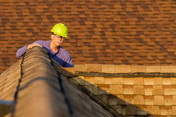 Professional Roofing Contractor in Wainaku, HI