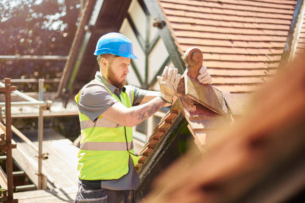 Best Flat Roof Repair Services  in Wainaku, HI